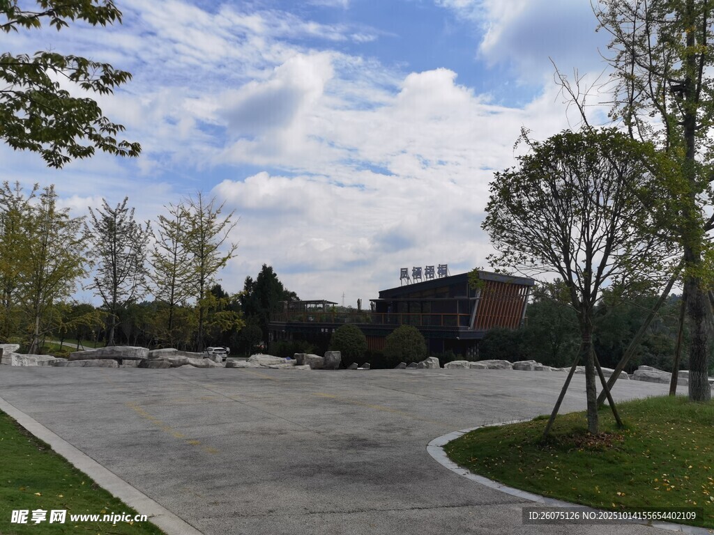 户外开阔园区道路风景