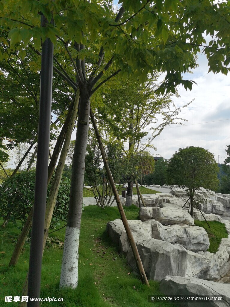 园林绿植景观