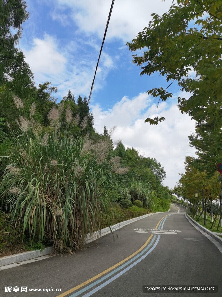 山间公路风景