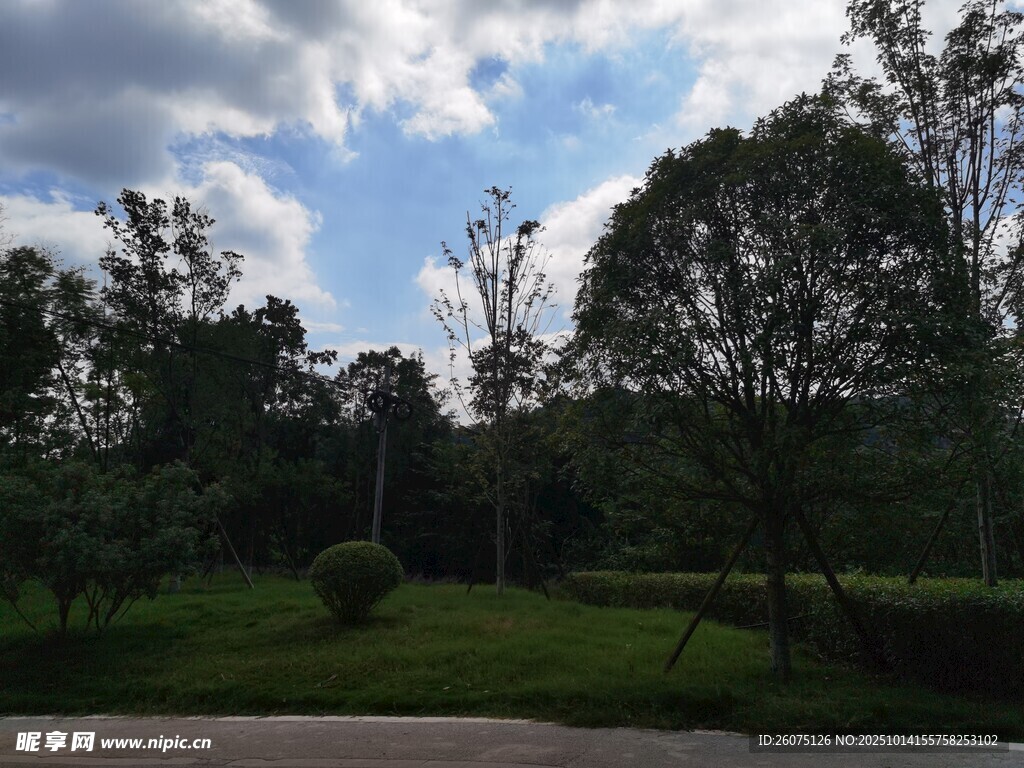 户外绿树蓝天风景图