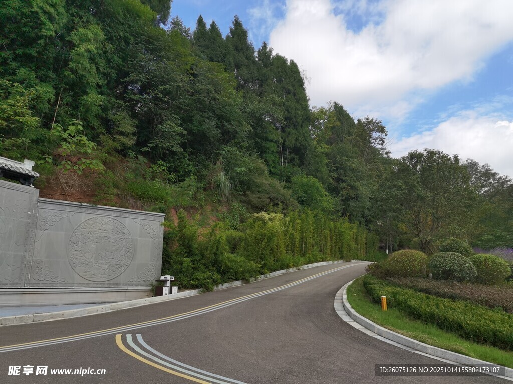 蜿蜒公路旁的葱郁山林