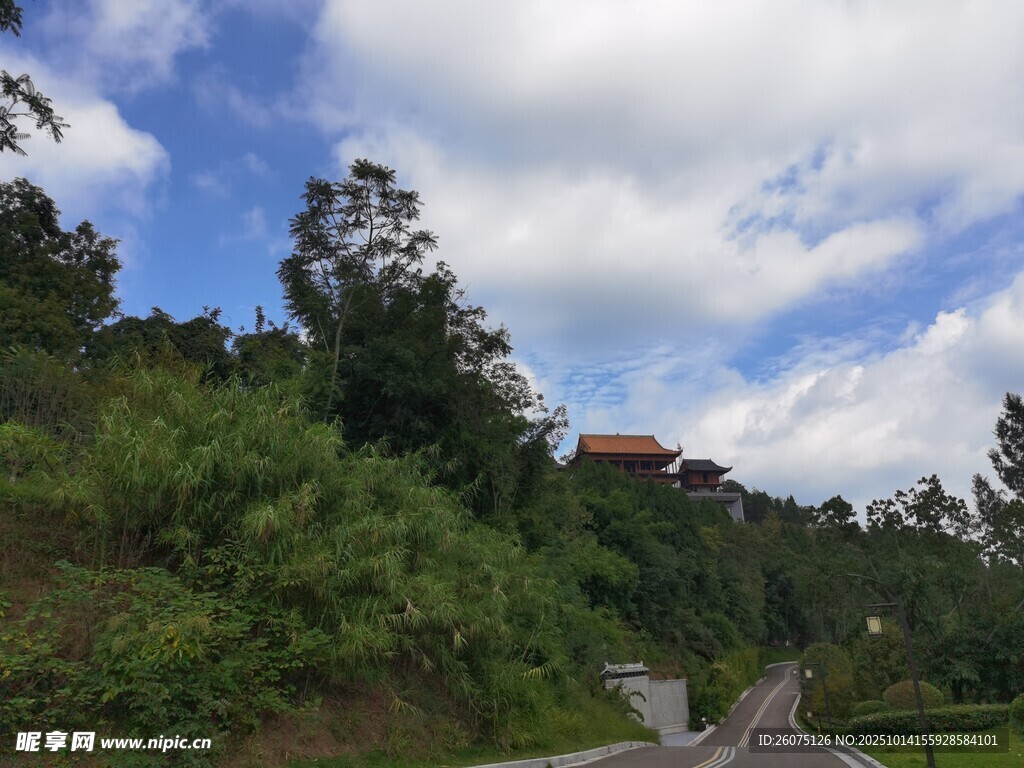 山间公路旁的葱郁景色
