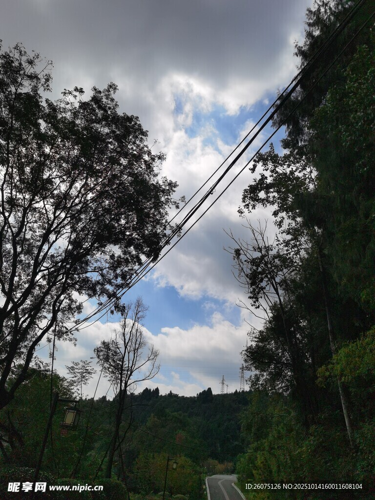 林间小道天空云影交织