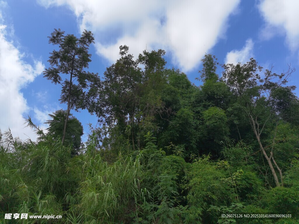 山林蓝天美景