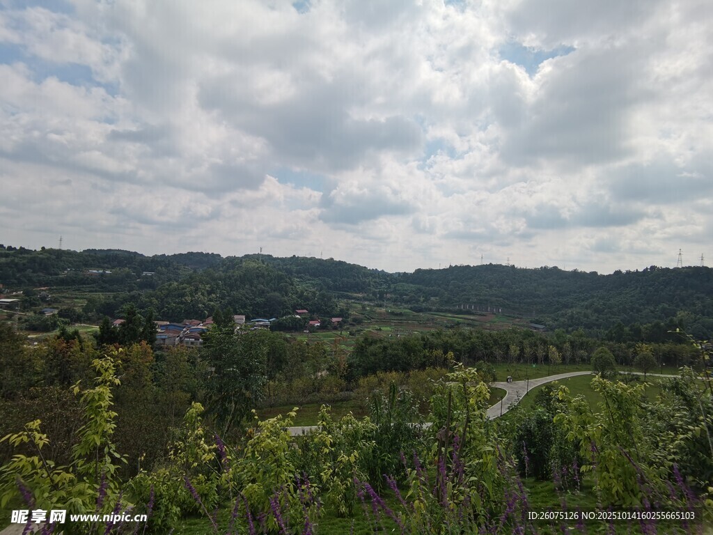 山间绿意盎然的风景