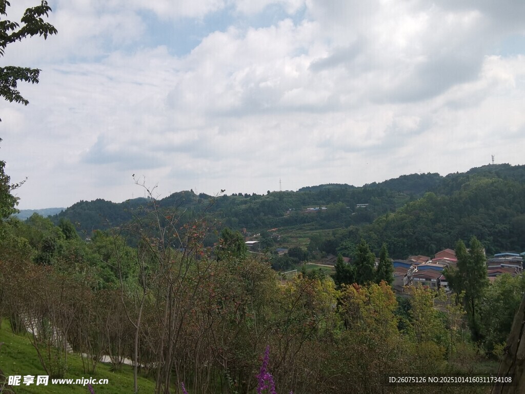 山间景致绿意盎然的风光