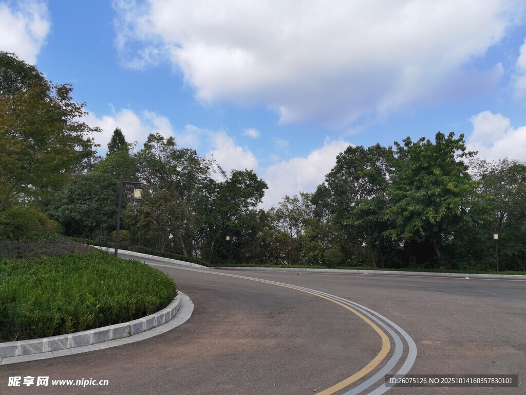 蜿蜒公路旁绿意盎然