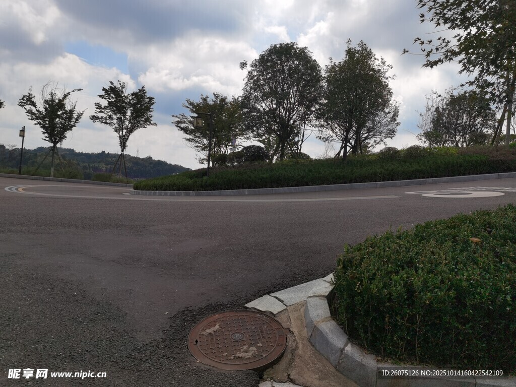 道路旁绿植景观