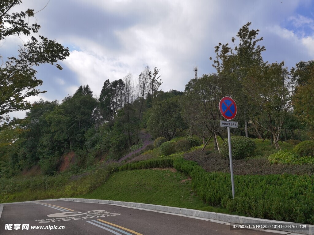 蜿蜒公路旁的自然景致