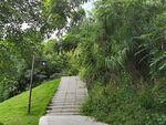 林间石阶漫步自然之径