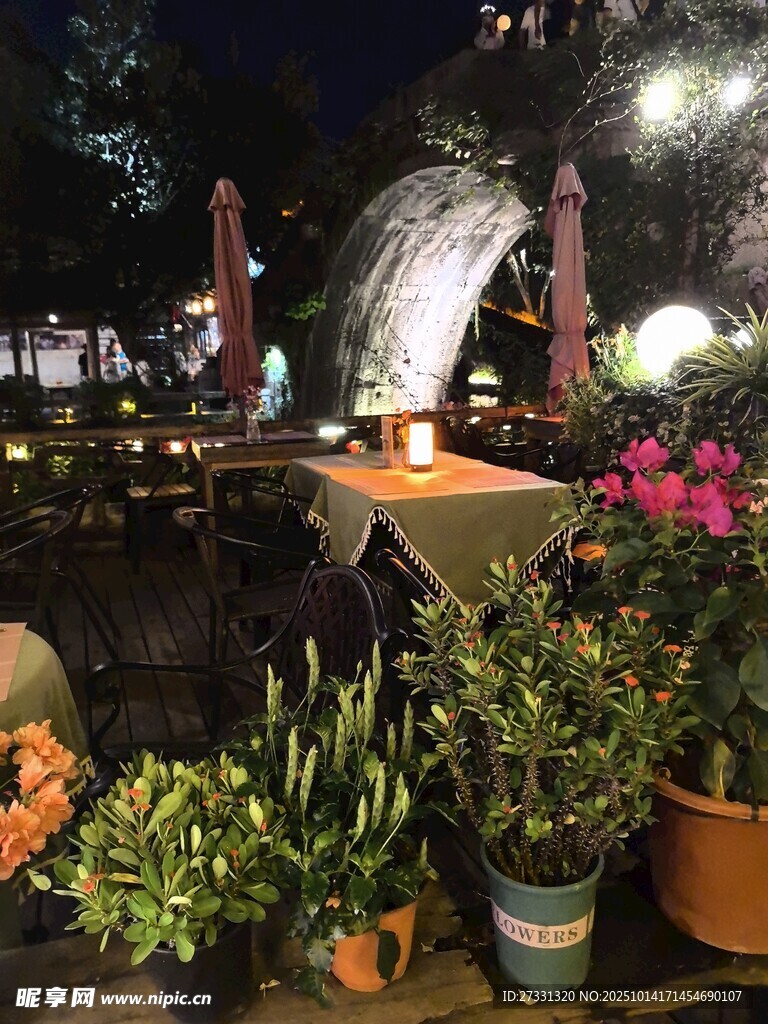 夜晚庭院绿植景观
