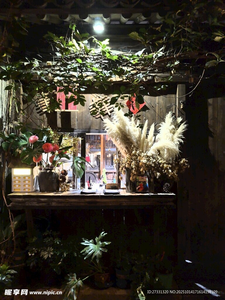 温馨绿植环绕的室内一角