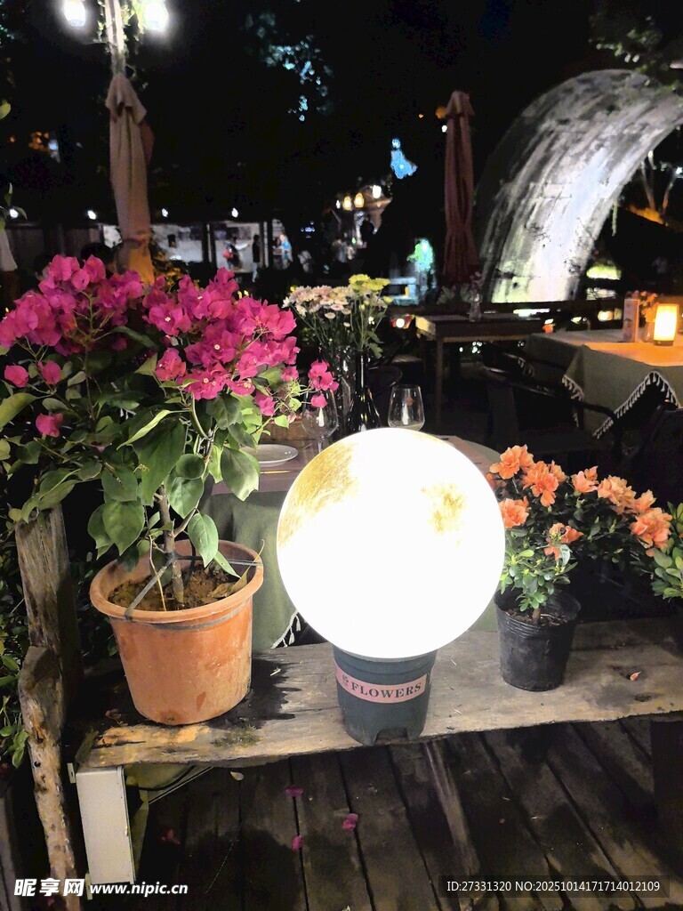 夜晚庭院中的花卉与灯盏