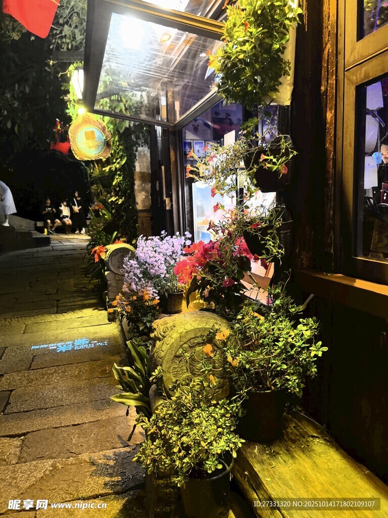 夜晚街边的温馨花卉景致