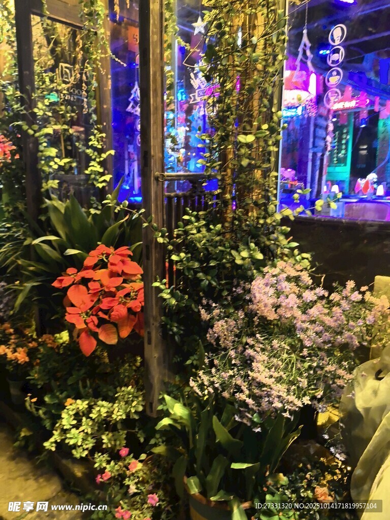 室内多彩花卉景观展示