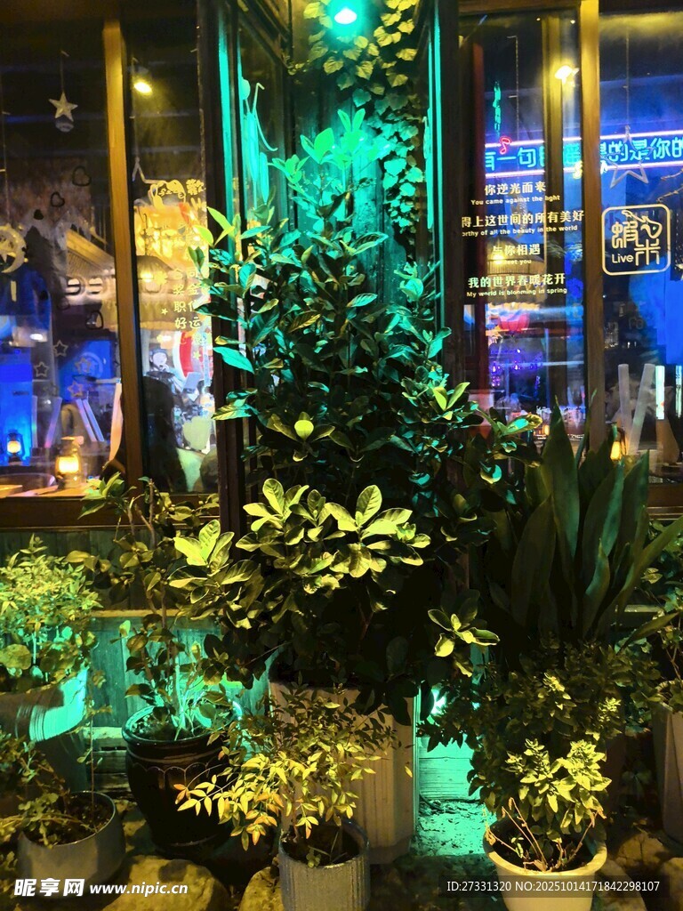 室内绿植景观布置