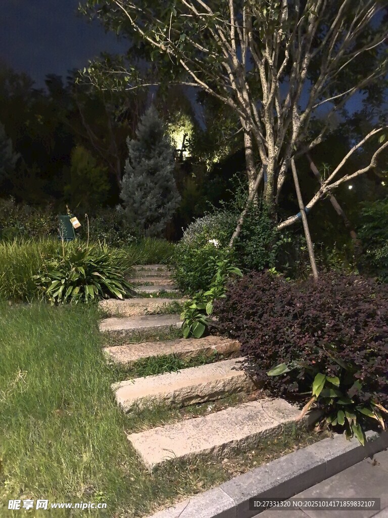 夜晚花园中的石板小径