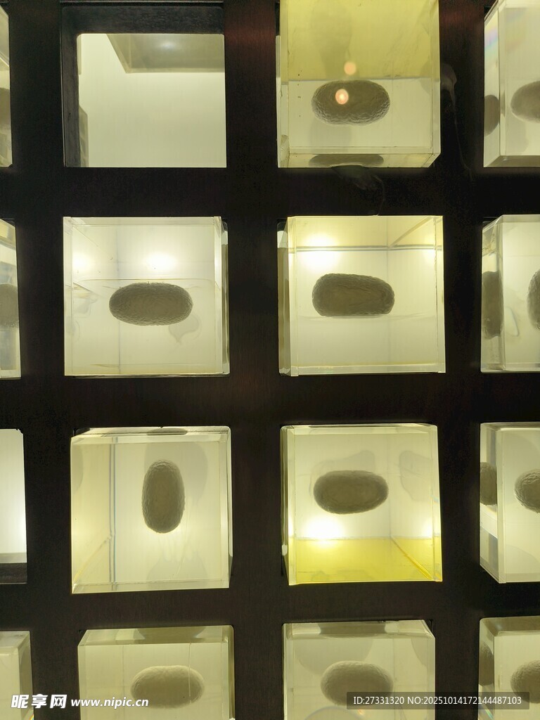 蚕茧阵列