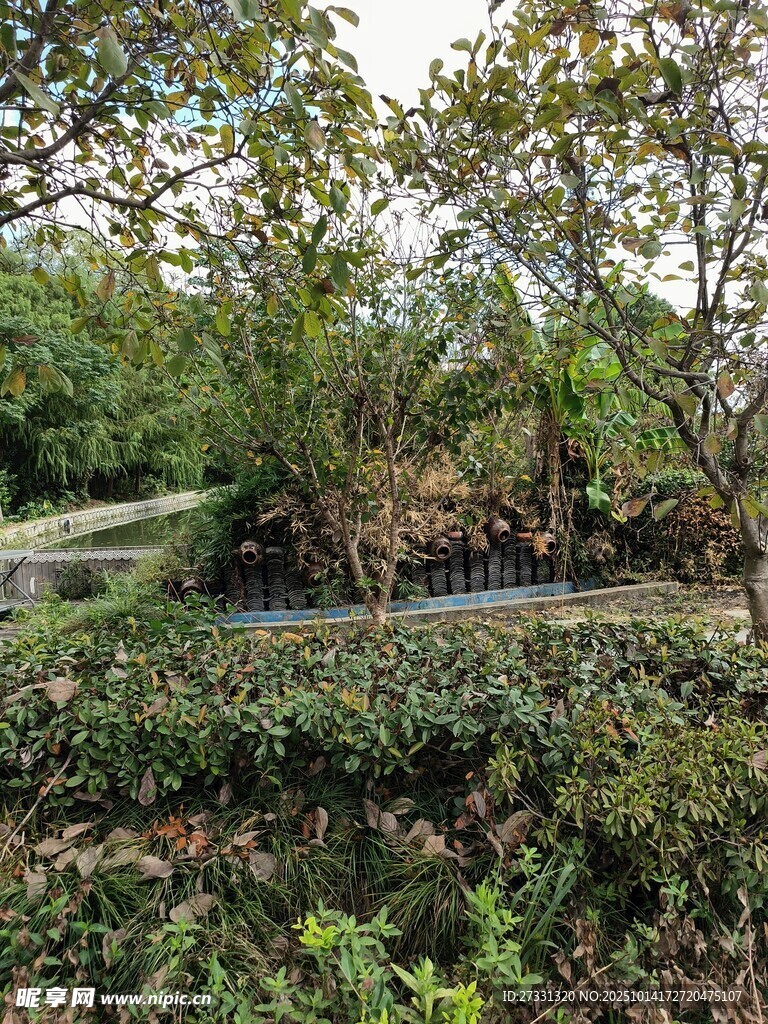 繁茂绿植环绕的户外景致