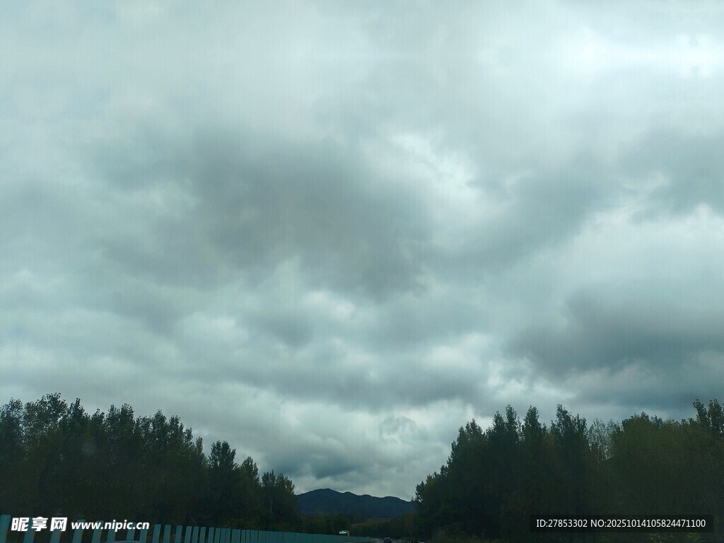 阴云笼罩下的树林景观