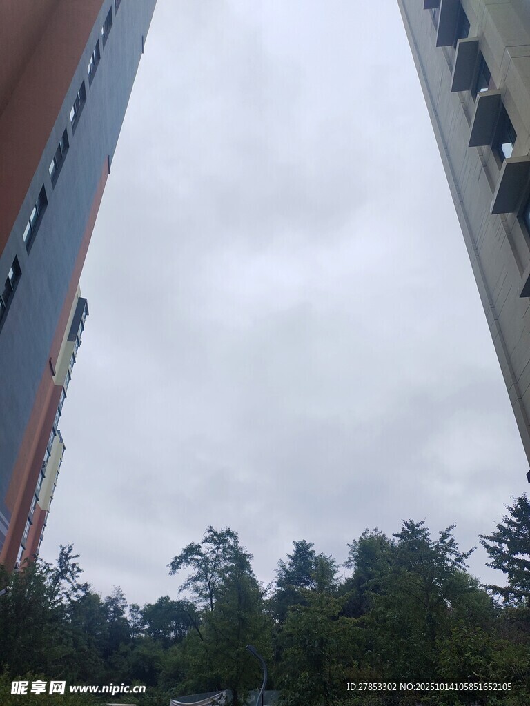 城市楼宇间的天空与绿植