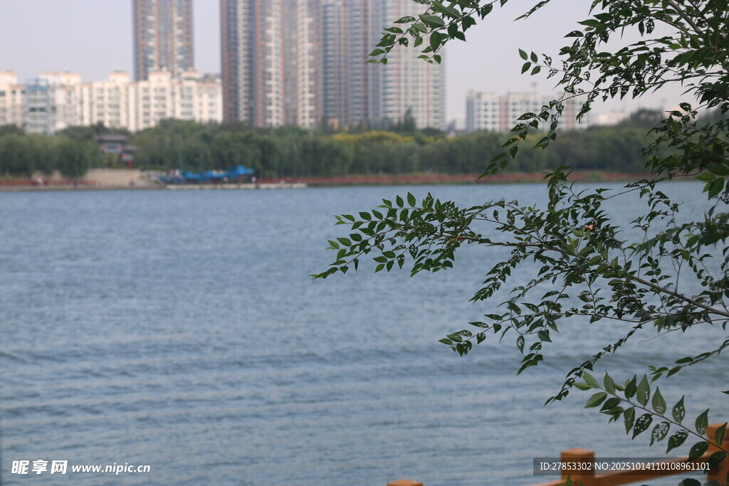 湖畔城市景