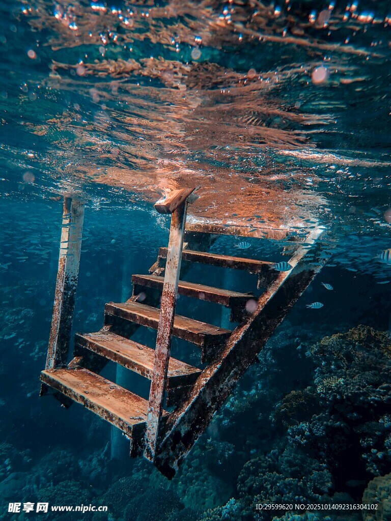 水下木质阶梯的奇幻景象