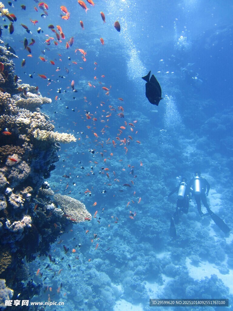 海底潜水美景