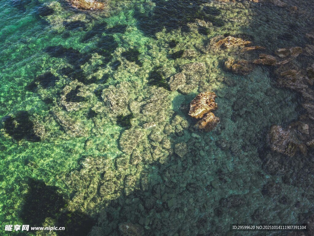 俯瞰海底斑斓礁石景观