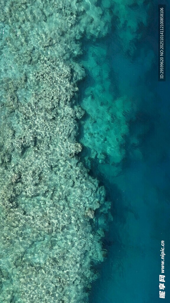 俯瞰海底斑斓珊瑚礁