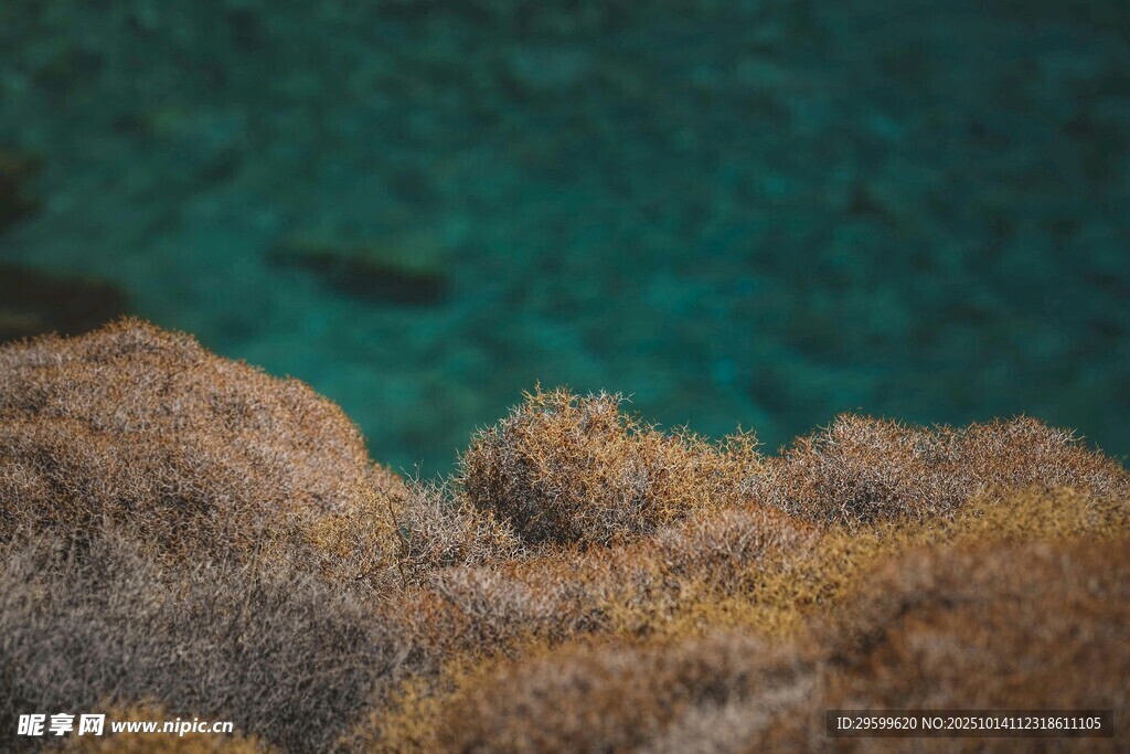 海边礁石与清澈海水景观