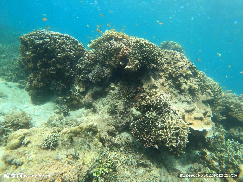 海底礁石景观