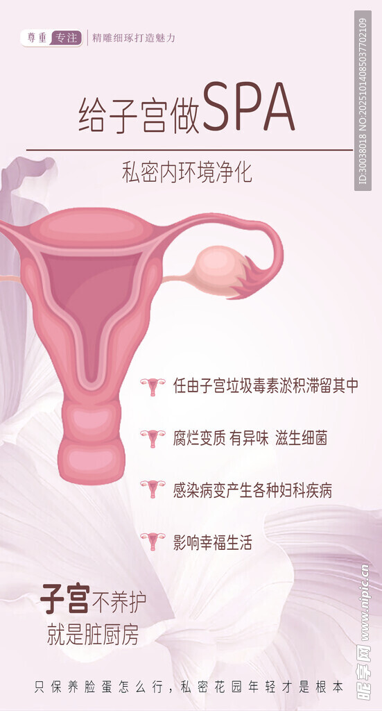 输卵管 养生 海报 保养