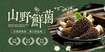 野生菌
