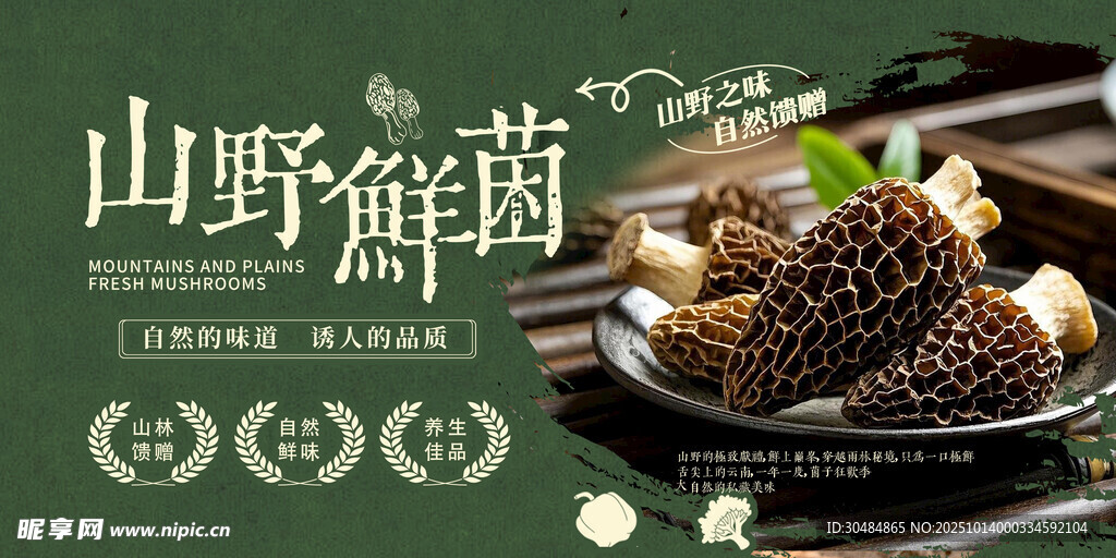 野生菌