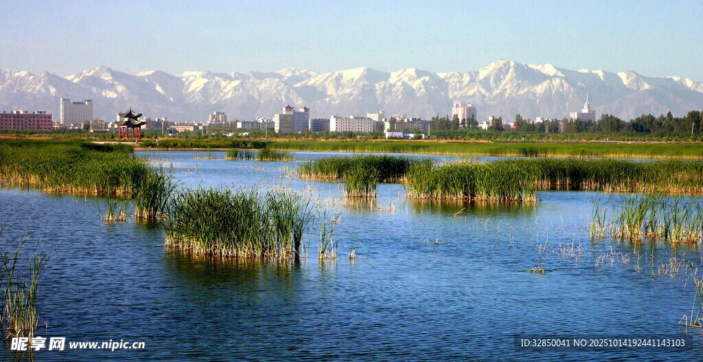 河畔湿地风光