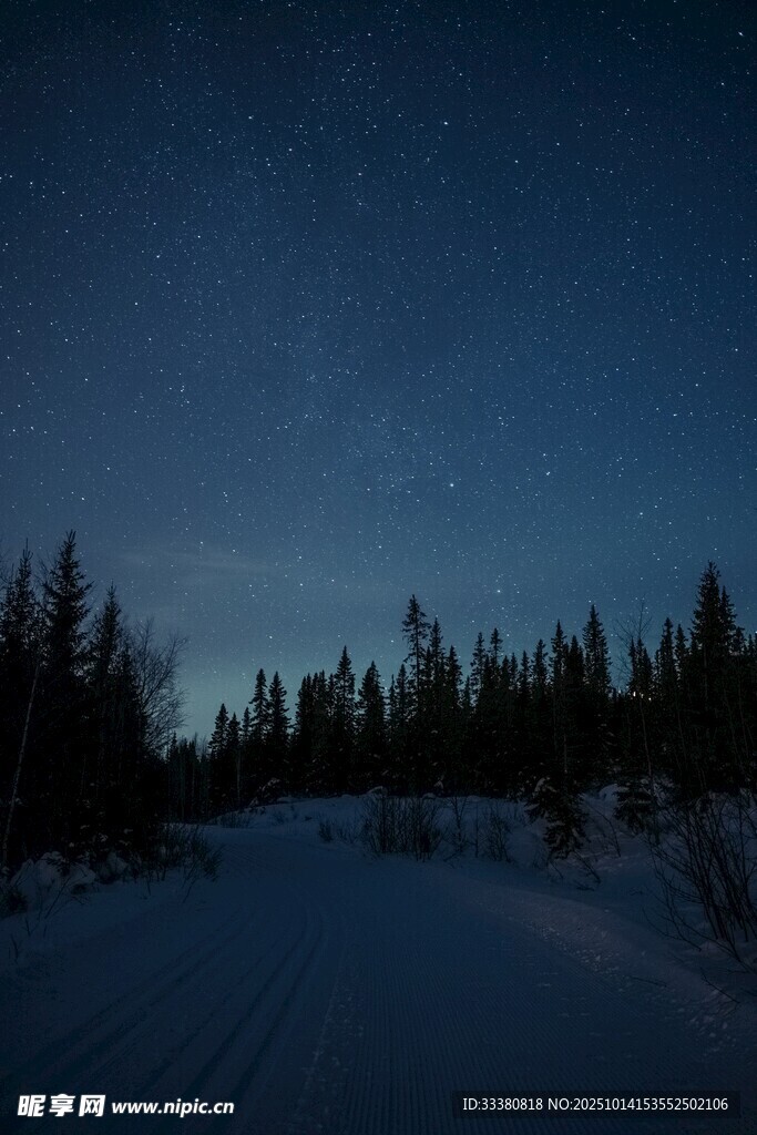 雪夜林间星空美景