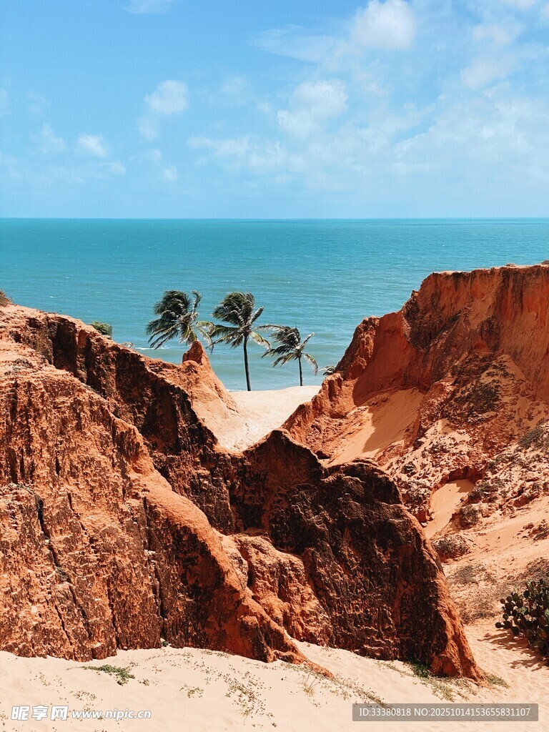 海边红崖与椰树的美景
