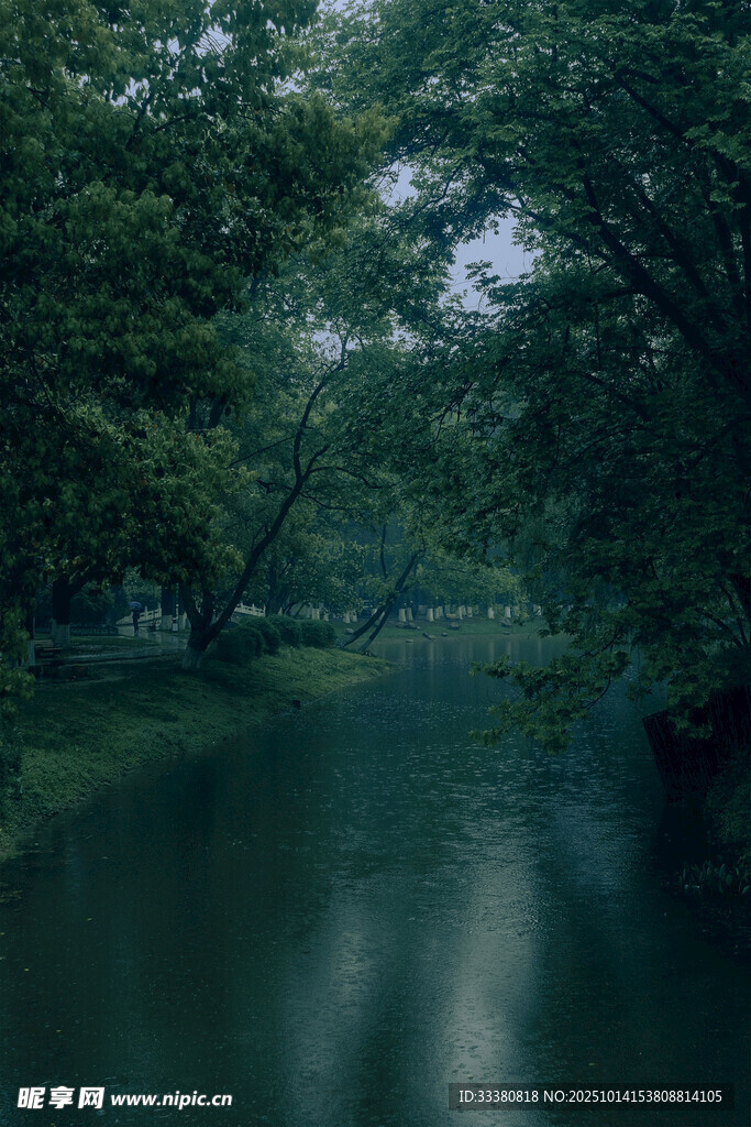林间静谧小河