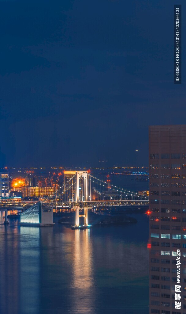 城市夜景中的璀璨桥梁