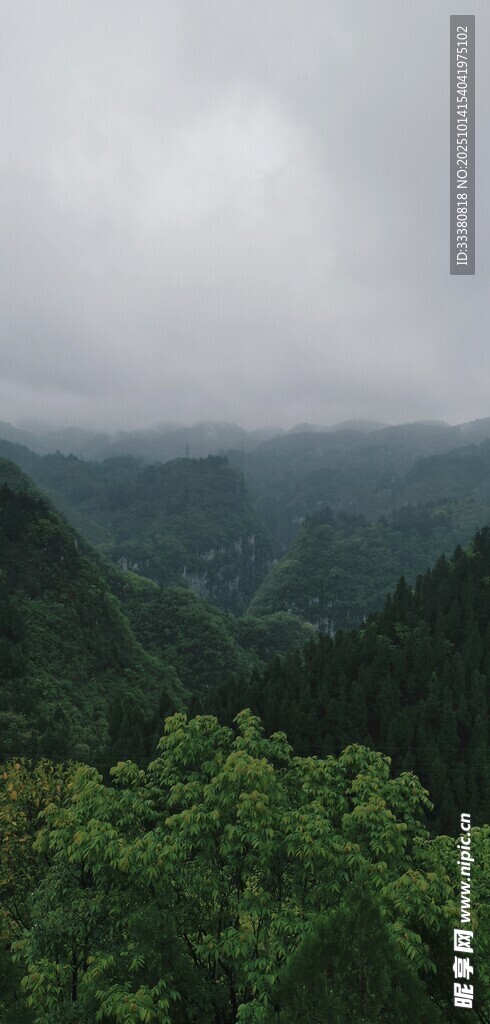 云雾缭绕的翠绿山峦