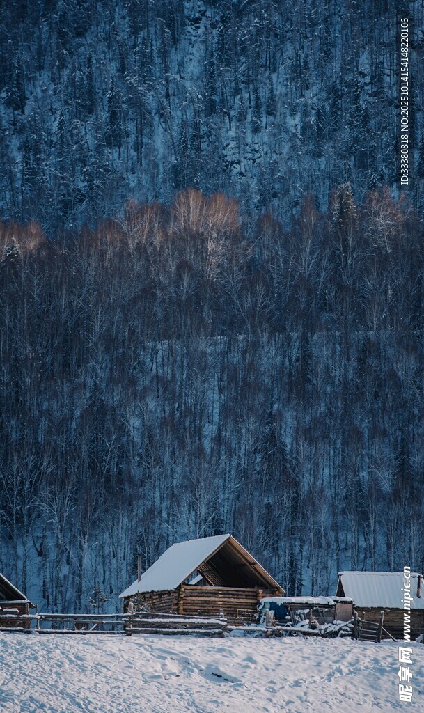 雪覆山林中的静谧小屋