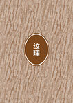 纹理