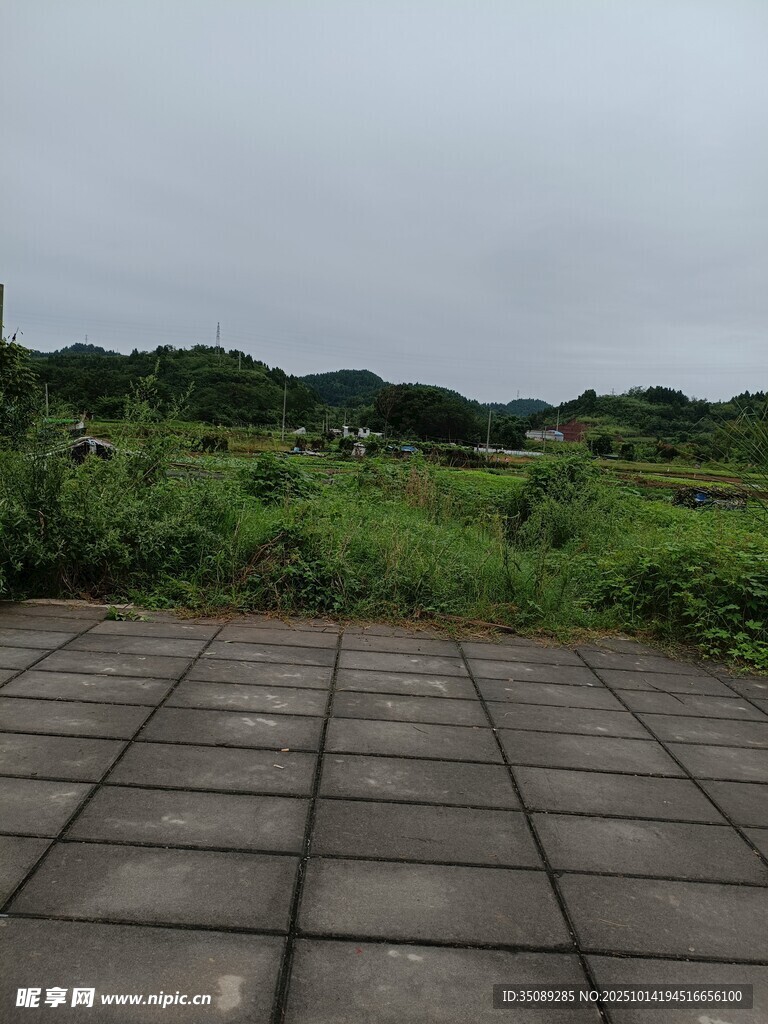 户外石板地与绿植风景