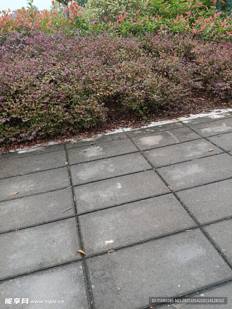 户外石砖路面与绿植景观