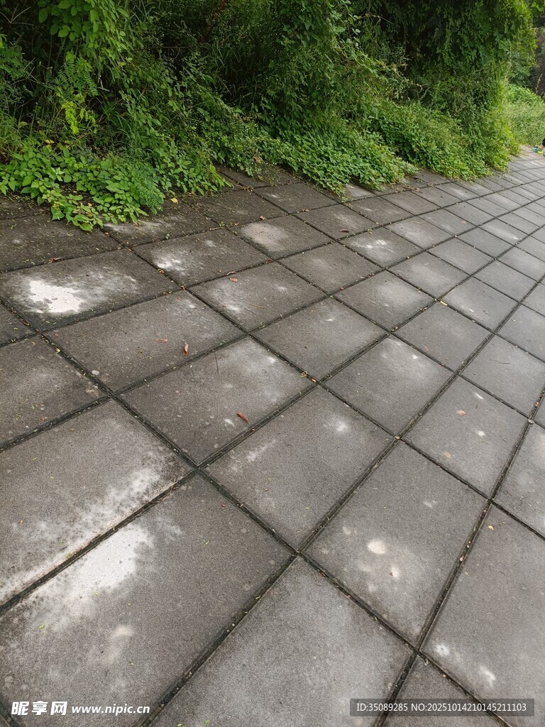 石板铺就的幽静林间小道
