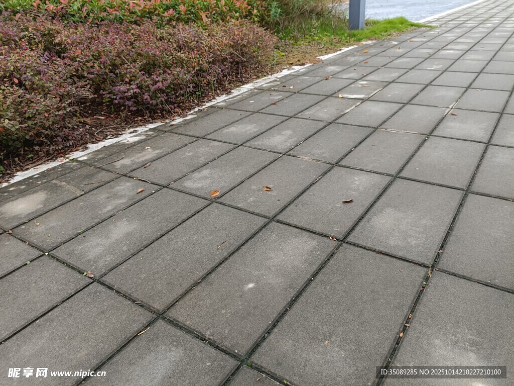 灰色方形铺砖路面景观
