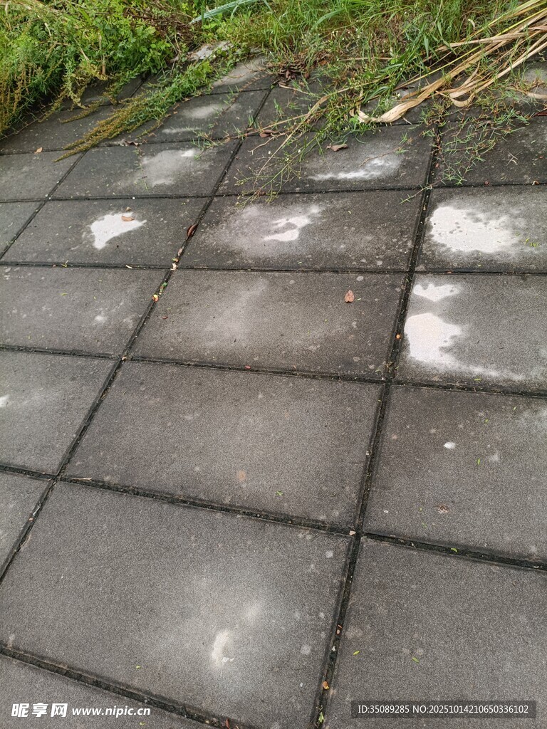 灰色水泥方砖地面