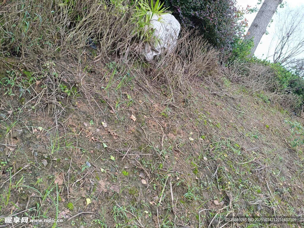 野外草地中的石块