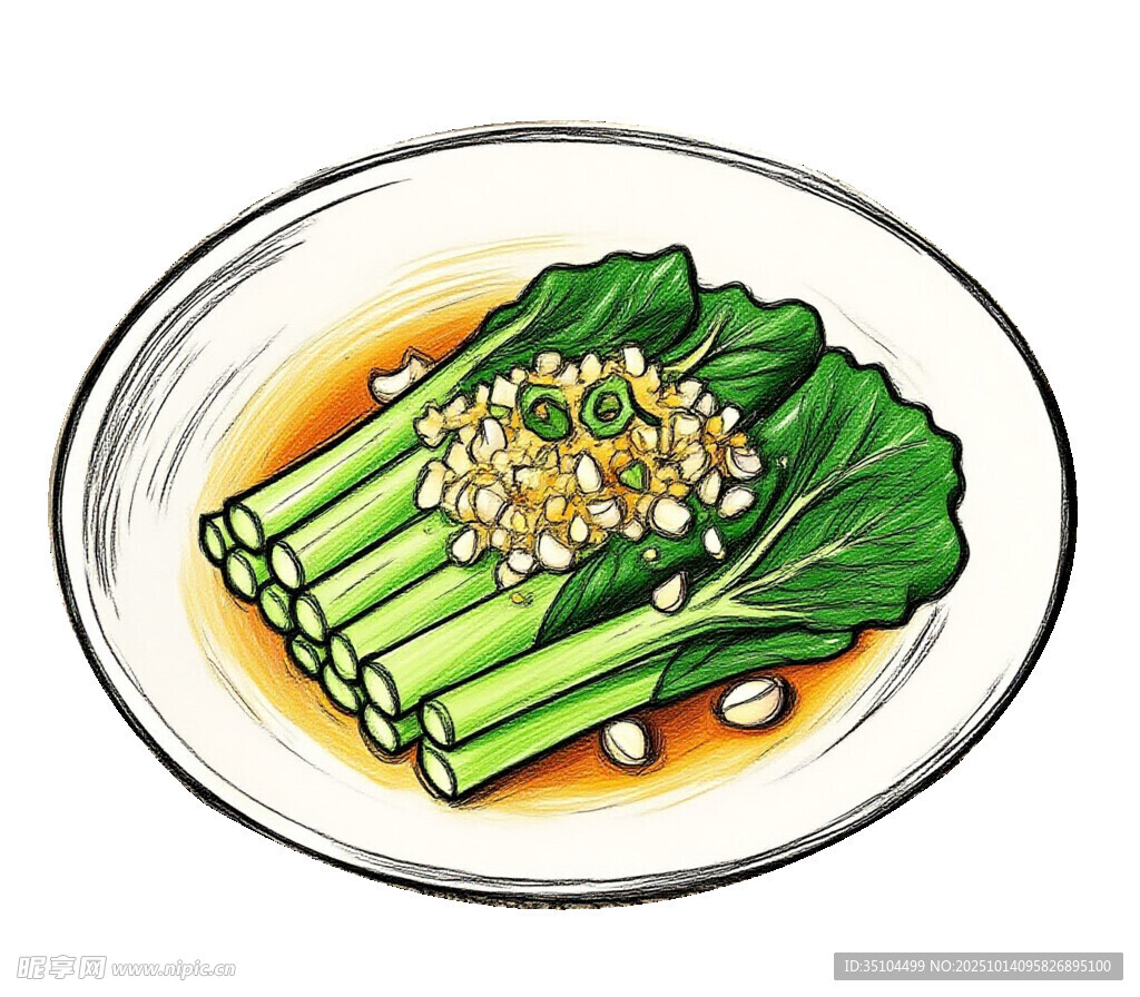 青菜插画